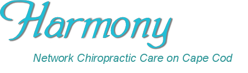 Harmony Network Chiropractic Dr. Susan Gullion